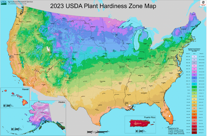 Unlock Your Garden's Potential: Navigating USDA Plant Hardiness Zones and Plantron Smart Garden Tools