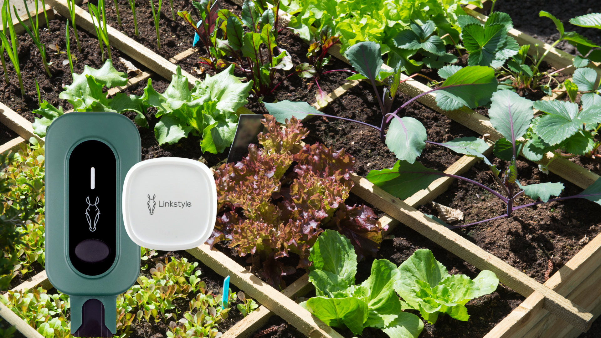 From Data to Dirt: Matching the Right Seeds to Your Afra II Soil Readings